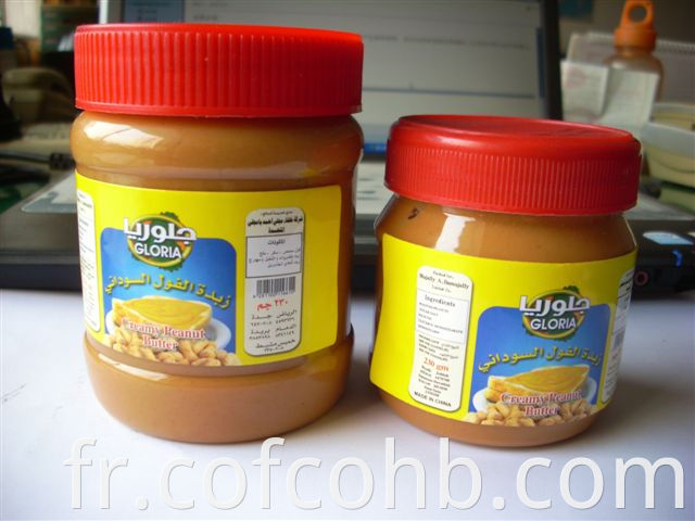 Bottled Peanut Butter 500g